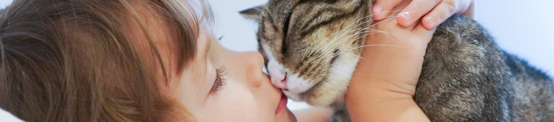 תקריב על ילדה מנשקת חתול אפור